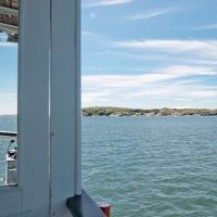 Day Cruises