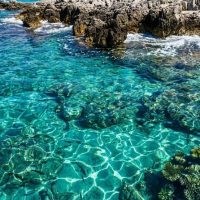 Day Trips & Excursions