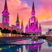 Attraction Tickets