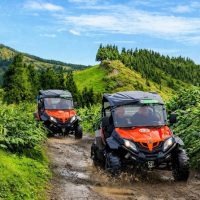 Private & Custom Tours