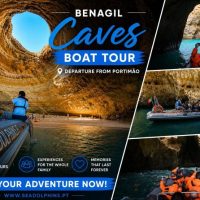 Walking & Biking Tours
