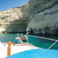 Fishing Charters & Tours