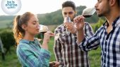 A great day exploring Valle De Guadalupe wine region with exceptional hosts