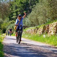 Private Sightseeing Tours