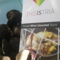 Private Sightseeing Tours