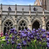 Tours & Sightseeing