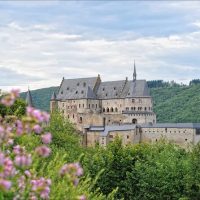 Bus & Minivan Tours