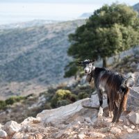 Day Trips & Excursions