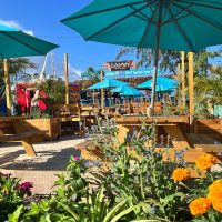 Shore Excursions