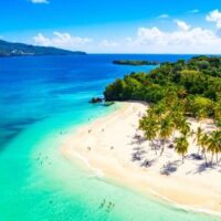 Bus & Minivan Tours