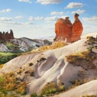 Bus & Minivan Tours