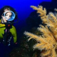 Scuba Diving