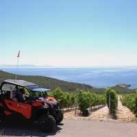 Luxury Tours