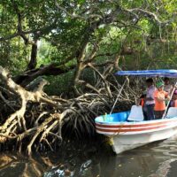Eco Tours
