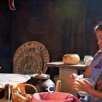 Cultural & Theme Tours