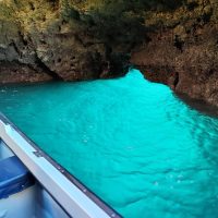 Day Cruises