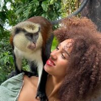 Private Sightseeing Tours