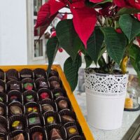 Chocolate Tours