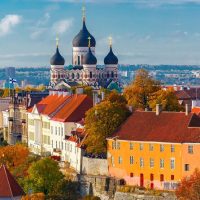Private & Custom Tours
