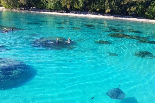 Valentine's Day in Moorea