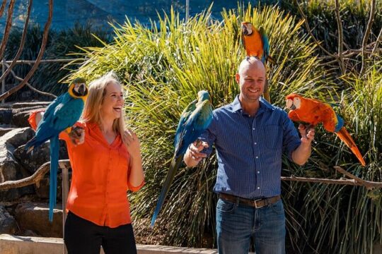 Good Friday in Noosa & Sunshine Coast