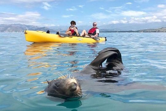 New Year’s Eve in Kaikoura