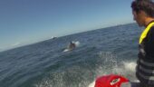 Excellent experience