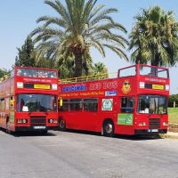 Bus & Minivan Tours