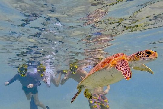 New Year’s Day long weekend in Bonaire