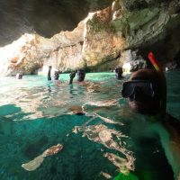 Half-day Tours