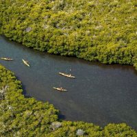 Kayaking & Canoeing