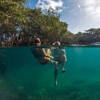 Private & Custom Tours