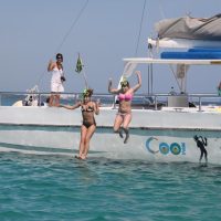 Day Cruises