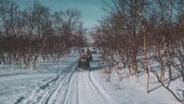 Extraordinary winter horseback ride in mid-april