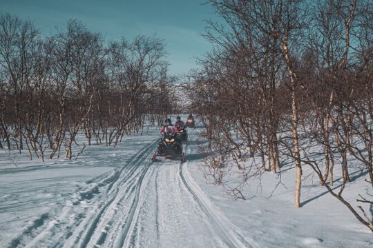 Valentine's Day in Alta