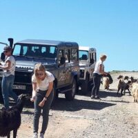 Private Sightseeing Tours