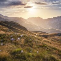 Day Trips & Excursions