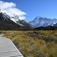 Day Trips & Excursions