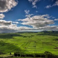 Full-day Tours