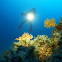 Scuba Diving