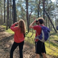 Holiday & Seasonal Tours