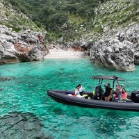 Shore Excursions