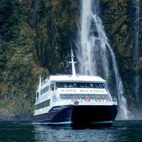 Catamaran Cruises
