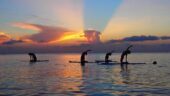 Beautiful yoga practice on the paddle with lovely teacher
