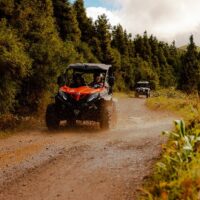 Luxury Tours
