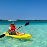Private Sightseeing Tours