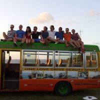 Half-day Tours