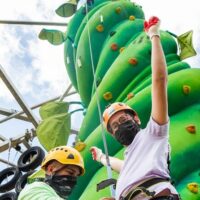 Sightseeing Tickets & Passes