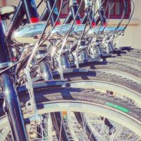 Walking & Biking Tours