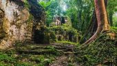 Hidden Maya Ruins